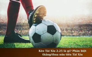 Kèo Tài Xỉu 2.25 Là Gì? Cách Đọc Kèo Chuẩn Xác