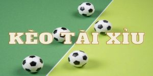 Kèo Tài Xỉu Là Gì? Hướng Dẫn Hiểu Nhanh Và Chơi Hiệu Quả