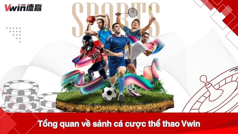 Tổng quan về sảnh cá cược thể thao Vwin